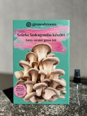 Szürke laskagomba készlet (Pleurotus ostreatus)