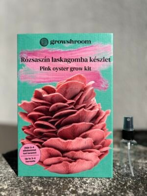 Rózsaszín laskagomba készlet (Pleurotus djamor)