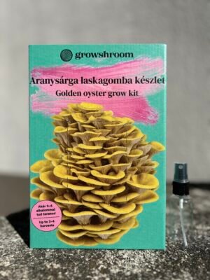 Aranysárga laskagomba készlet (Pleurotus citrinopileatus)