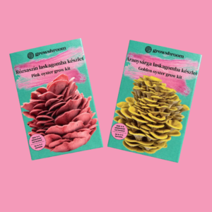 Dupla gombatermesztő készlet csomag