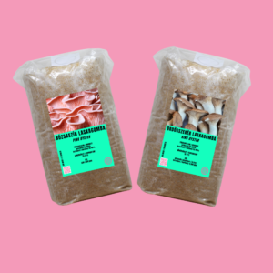 Dupla termőblokk csomag