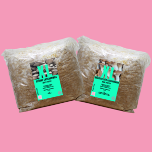 Dupla XL termőblokk csomag