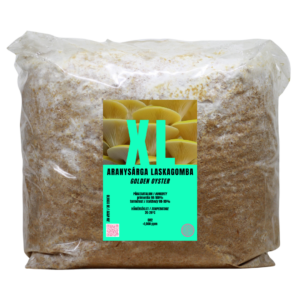 Aranysárga laskagomba XL termőblokk (Pleurotus citrinopileatus)
