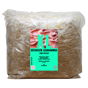 Rózsaszín laskagomba XL termőblokk (Pleurotus djamor)