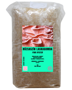 Rózsaszín laskagomba termőblokk (Pleurotus djamor)