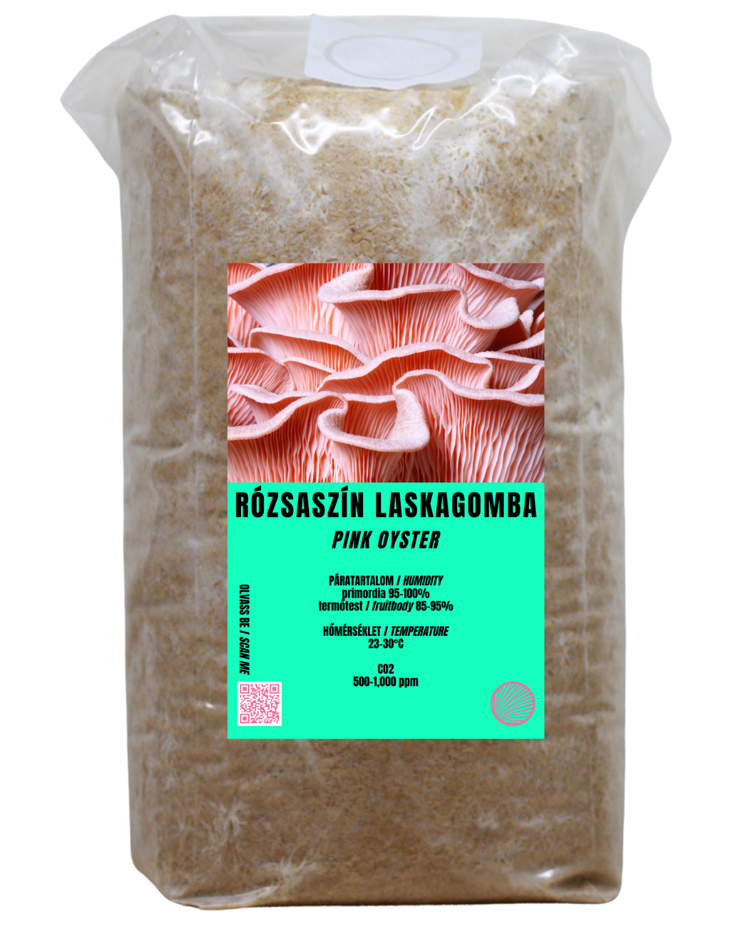 Rózsaszín laskagomba termőblokk (Pleurotus djamor)
